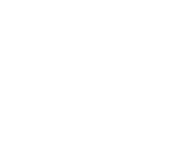 Computotal Logo